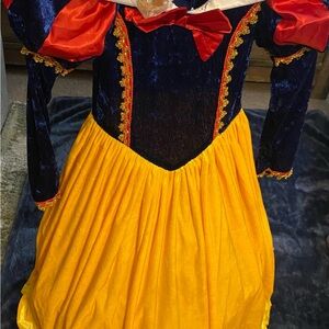 Kids Royal Blue and Yellow Princess Costume